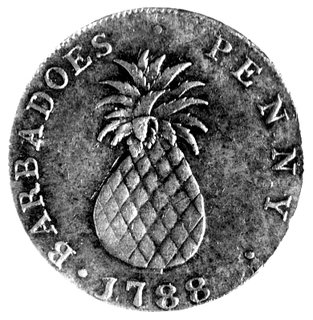 1 pesos 1788, Aw: Ananas, w otoku napis, Rw: Młodzieniec w pióropuszu, miedź, 13,74g, ładna patyna.