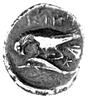 Istros- kolonia Miletu, drachma 350 pne, Aw: Dwie głowy młodzieńców obrócone o 180 stopni, Rw: Orz..