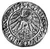 grosz dla ziem pruskich 1535, Toruń, Kurp. 342 R, Gum. 531.