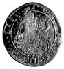 grosz 1536, Wilno, pod Pogonią literka F, nienotowana odmiana napisu na awersie SIGISMV P REX PO M..