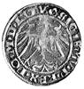 grosz 1536, Wilno, pod Pogonią literka M, nienotowana odmiana napisu - awers: SIGISMV P REX PO M D..