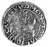 grosz 1536, Wilno, pod Pogonią literka M, nienotowana odmiana napisu - awers: SIGISMV P REX PO M D..