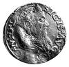 dwugrosz 1565, Wilno, Kurp. 799 R3, Gum. 617, T. 10, bardzo rzadka moneta.
