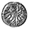 denar 1555, Elbląg, Kurp. 989 R3, Gum. 654, T. 7, ładna patyna, rzadki.