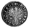 zestaw monet grosz 1608, Kraków, na awersie korona, pod Orłem herb Lewart w owalnej tarczy /rzadsz..