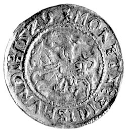 półgrosz 1529, Wilno, pod Pogonią literka V, litery N w napisie normalne, Kurp. 174 R7, Gum. 513, T. 40, bardzo rzadka i ładnie zachowana moneta.