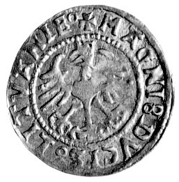 półgrosz 1529, Wilno, pod Pogonią literka V, litery N w napisie normalne, Kurp. 174 R7, Gum. 513, T. 40, bardzo rzadka i ładnie zachowana moneta.