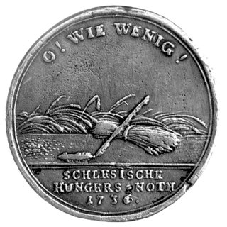 medal wybity z okazji klęski głodu i powodzi na Śląsku w 1736 r., Aw: Wioska pod strugami deszczu