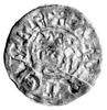 Fryzja- Bruno III 1038- 1057 , denar- mennica Staveren, Aw: Głowa w koronie w prawo i napis: HEIN...