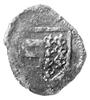 Aleksander I 1400-1432, półgrosz- Suczawa, Aw: Herb Mołdawii, Rw: Herb władcy, Kop.3709, patyna