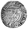 Winrich von Kniprode 1351- 1382, szeląg, Aw: Tarcza Wielkiego Mistrza, Rw: Tarcza Krzyżacka, Bahrf..