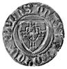 Henryk von Plauen 1410- 1413, szeląg, Aw: Tarcza