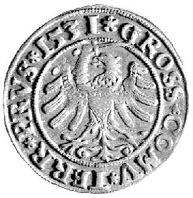 grosz 1531, Toruń, Kurp. 296 R, Gum. 527