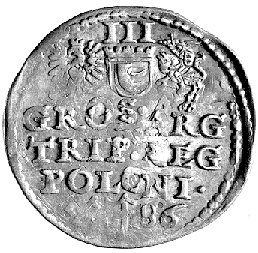 trojak 1586, Poznań, Kurp. 205 R, Gum. 718, końc