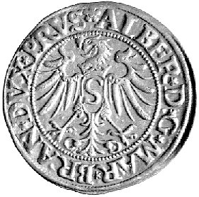 grosz 1534, Królewiec, Neumann 45, Bahr. 1143
