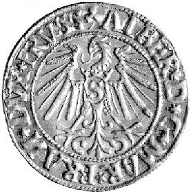 grosz 1545, Królewiec, Neumann 1196, Bahr. 1196,