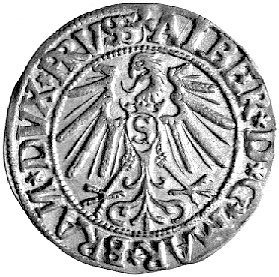 grosz 1545, Królewiec, drugi egzemplarz