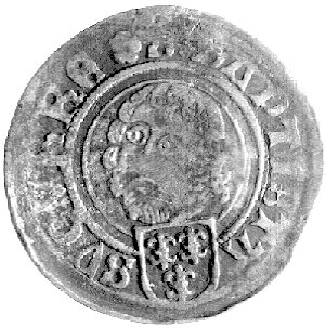 grosz 1508, Nysa, F. 454