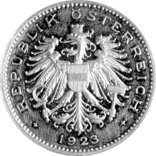 100 koron 1923, Wiedeń, Fr. 433, złoto, 33,86 g., rzadkie
