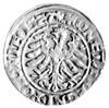 grosz 1527, Kraków, Kurp. 40 R1, Gum. 482, ładnie zachowana moneta ze starą patyną