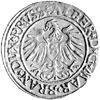 grosz 1535, Królewiec, Neumann 45, Bahr. 1157