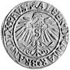 grosz 1537, Królewiec, Neumann 45, Bahr. 1164