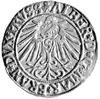 grosz 1543, Królewiec, Neumann 46, Bahr. 1185