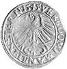 grosz 1545, Legnica, F. u S. 1370, bardzo ładny 