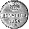 połuszka 1856, Jekatierinburg, Uzdenikow 3563, b