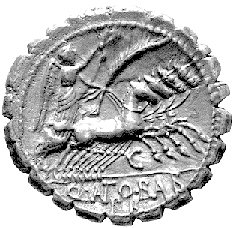 Q. Antonius Balbus, denar 83- 82 pne, Aw: Głowa 