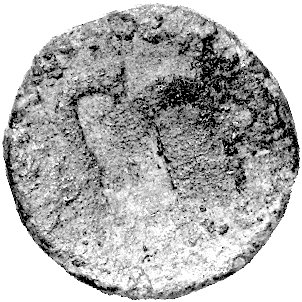 kontrasygnatury na zniszczonej monecie rzymskiej oraz AVG, dobrze czytelne napisy, piękna patyna