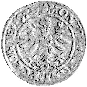 grosz 1529, Kraków, Kurp. 48 R, Gum. 484, patyna.