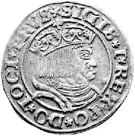 grosz 1531, Toruń, Kurp. 299 R, Gum. 527, na rewersie punca inicjały znanego warszawskiego bankiera i kolekcjonera Xawerego Segno, duża ciekawostka numizmatyczna.