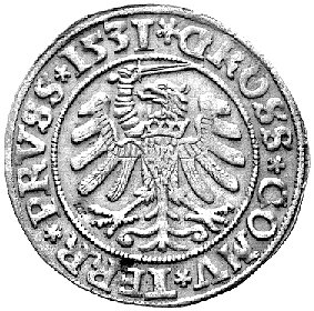 grosz 1531, Toruń, Kurp. 299 R, Gum. 527, na rewersie punca inicjały znanego warszawskiego bankiera i kolekcjonera Xawerego Segno, duża ciekawostka numizmatyczna.