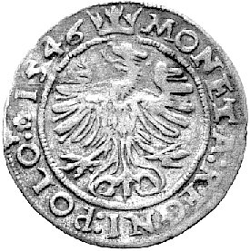 grosz 1546, Kraków, Kurp. 57 R1, Gum. 488, na awersie punca Czapskiego, patyna.