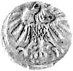 denar 1556, Wilno, Kurp. 643 R3, Gum. 592.