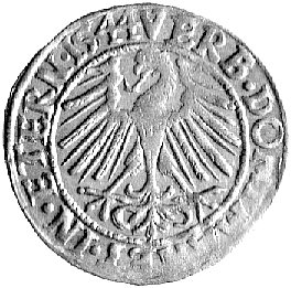 grosz 1544, Legnica, F.u. S. 1363, ładna patyna.