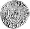 Winrych von Kniprode 1351- 1382, szeląg, Aw: Tarcza Wielkiego Mistrza i napis w otoku: MAGST WYNRI..
