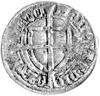 Michał Küchmeister von Sternberg 1414- 1422, szeląg, Aw: Tarcza Wiekiego Mistrza i napis MAGST MIC..