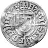Fryderyk Saski 1498- 1510, grosz, Aw: Tarcza z długim krzyżem i napis: MAGISTER FRIDICVS, Rw: Tarc..