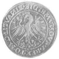grosz 1535, Wilno, Aw: Orzeł i napis, Rw: Pogoń i napis, Kop. I.la. -R-, H-Cz. 4866 Rl, T. 7.