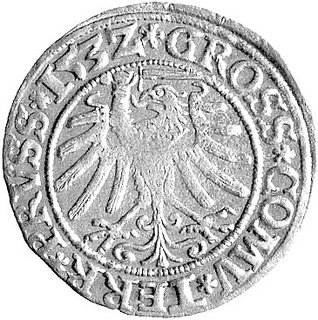 grosz 1532, Toruń, Kurp. 310 R, Gum. 528.