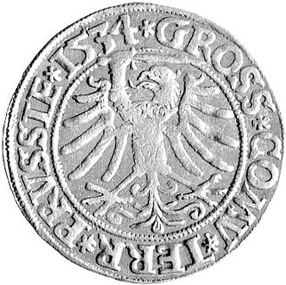 grosz 1534, Toruń, odmiana popiersie króla w koronie, Kurp. 328 R, Gum. 530.