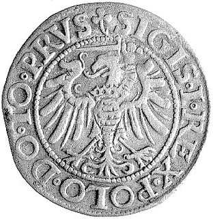 grosz 1539, Elbląg, Kurp. 603 R, Gum. 583.