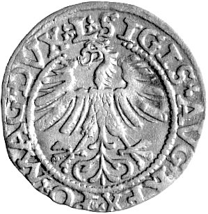 półgrosz 1562, Wilno, odmiana z herbem Topór na dole, Kurp. 726 R4, Gum. 603, rzadki.