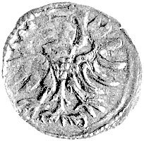 denar 1555, Elbląg, Kurp. 989 R3, Gum. 654, T. 7