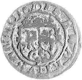 trzeciak 1626, Łobżenica, odmiana z literką L rozdzielającą u dołu napis otokowy na rewersie, Kurp. 1899 R1, Gum. 1504.