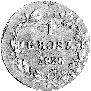 grosz 1836, Warszawa, Plage 242, ładnie zachowany egzemplarz ze starą patyną.
