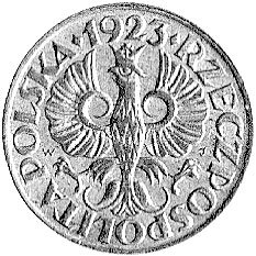 1 grosz 1923, na rewersie literki KM, Parchimowi