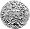 półgrosz 1562, Wilno, odmiana z herbem Topór na dole, drugi egzemplarz.